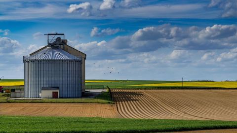 Les coopératives céréalières doivent retrouver de la compétitivité.