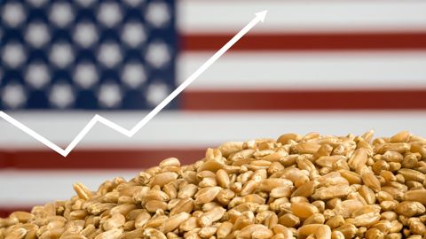 Les prix des céréales et oléagineux sont dans le vert ces derniers jours. Les prix des céréales et oléagineux sont dans le vert ces derniers jours.