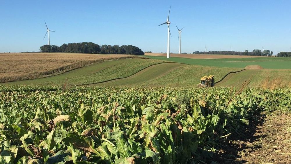 Lesaffre Frères c'est 110 salariés et 600 000 tonnes de betteraves transformées par an.