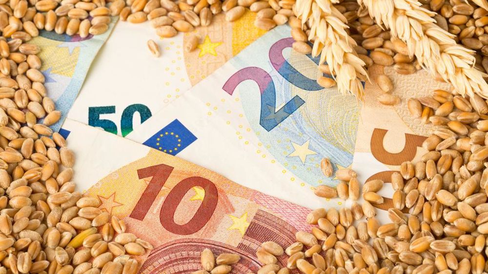 Billets de banque et grains de blé Billets de banque et grains de blé