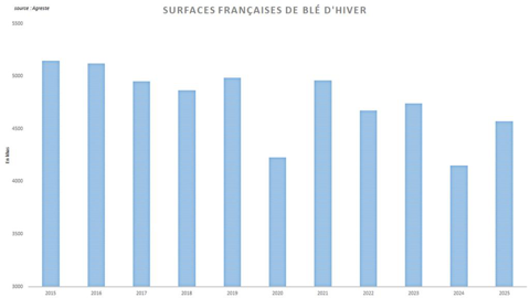 La baisse tendancielle des surfaces françaises de blé d'hiver se poursuit.