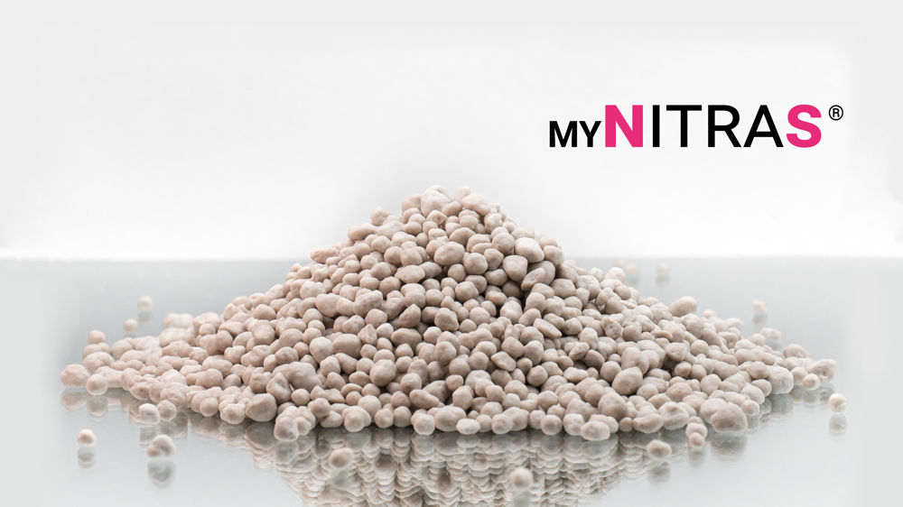 Réaliser son premier apport d’azote avec de l’azote soufré MYNITRAS®
