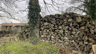 En cas de conflit entre un propriétaire et un fermeir sur l'exploitation du bois d'un terrain, c'est le tribunal paritaire des baux ruraux qu'il faut saisir. En cas de conflit entre un propriétaire et un fermeir sur l'exploitation du bois d'un terrain, c'est le tribunal paritaire des baux ruraux qu'il faut saisir.