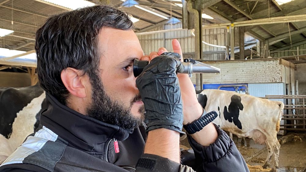 vétérinaire mesurant les urines au densimètre