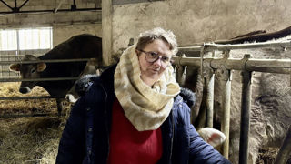 Sophie Gaujard est une des quatre associés de la ferme biologique des Cent Fontaines. Sophie Gaujard est une des quatre associés de la ferme biologique des Cent Fontaines.