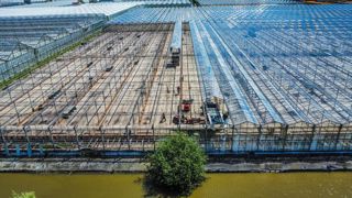 Serres en fin de vie.