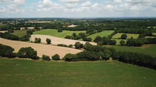 Malgré une surface agricole utilisée suffisante, la France consacre une grande partie de l'utilisation de ses terres agricoles à l'exportation et à l'industrie agroalimentaire, selon Terre de Liens. Malgré une surface agricole utilisée suffisante, la France consacre une grande partie de l'utilisation de ses terres agricoles à l'exportation et à l'industrie agroalimentaire, selon Terre de Liens.