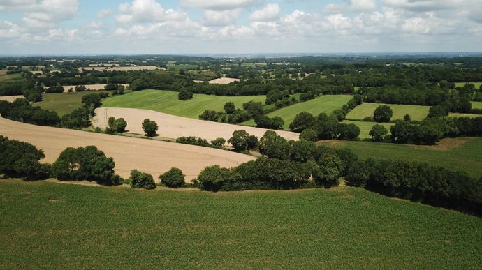 [] 43 % du foncier agricole français dédié aux exportations, avertit Terre de Liens