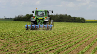 La maîtrise des adventices, en premier lieu des graminées, nécessite souvent d'associer aux herbicides des leviers agronomiques (labour, désherbage mécanique). La maîtrise des adventices, en premier lieu des graminées, nécessite souvent d'associer aux herbicides des leviers agronomiques (labour, désherbage mécanique).