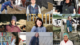 Dossier conçu et proposé par Le Cniel