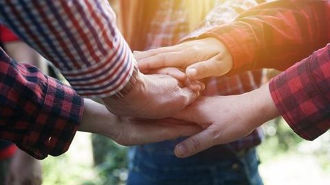 Entreprise individuelle, sociétés diverses, structure ayant recours au salariat ou externalisant certaines tâches... Depuis plusieurs années, les collectifs de travail agricoles se transforment. Entreprise individuelle, sociétés diverses, structure ayant recours au salariat ou externalisant certaines tâches... Depuis plusieurs années, les collectifs de travail agricoles se transforment.