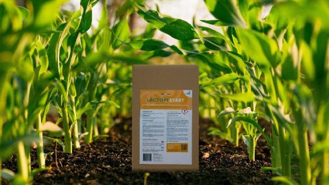 Lactopi Start, biostimulant naturel issu de la transformation de l’urine humaine
