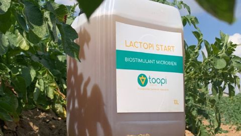 Biostimulant Lactopi Start : offre de lancement exclusive Biostimulant Lactopi Start : offre de lancement exclusive