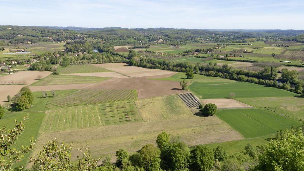 Les prix du foncier agricole tout comme les mécanismes de régulation varient beaucoup entre pays européens.