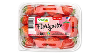 « La Floriguette permettra d’être davantage présent sur le marché. Sa récolte commence plus tôt et se termine en septembre », explique Catherine Legal, directrice du marketing chez Savéol. « La Floriguette permettra d’être davantage présent sur le marché. Sa récolte commence plus tôt et se termine en septembre », explique Catherine Legal, directrice du marketing chez Savéol.