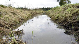 Sur ma commune, les fossés sont mal entretenus et l’eau déborde sur le chemin de remembrement, dégradant ce dernier. Qui doit payer et entretenir ? Sur ma commune, les fossés sont mal entretenus et l’eau déborde sur le chemin de remembrement, dégradant ce dernier. Qui doit payer et entretenir ?
