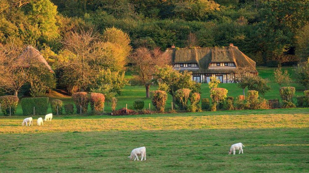 La FNAIM dénonce un abus de position dominante des Safer qui faussent la concurrence sur les biens en milieu rural.