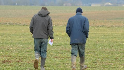 Et chez vous ? Comment se portent vos parcelles ? Et où en êtes-vous dans les semis de printemps ? Venez partager la situation de votre secteur dans les commentaires. Et chez vous ? Comment se portent vos parcelles ? Et où en êtes-vous dans les semis de printemps ? Venez partager la situation de votre secteur dans les commentaires.
