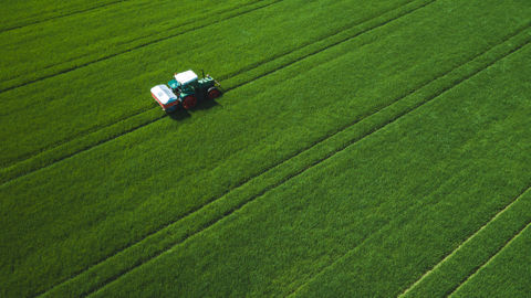 MYPREMIAN® 33,5 N, la garantie d’une fertilisation efficace pour vos céréales