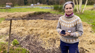 Cécilia Aguirre cultive des plantes tinctoriales sur un terrain familial de 3 ha à Longvilliers (Yvelines) et y fabrique des teintures végétales. Cécilia Aguirre cultive des plantes tinctoriales sur un terrain familial de 3 ha à Longvilliers (Yvelines) et y fabrique des teintures végétales.