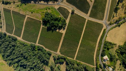 La proposition de loi de Peio Dufau entend principalement lutter contre la consommation masquée de foncier agricole. La proposition de loi de Peio Dufau entend principalement lutter contre la consommation masquée de foncier agricole.