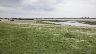 Le préfet de la Bretagne a dix mois pour prendre « toutes les mesures nécessaires pour permettre de réduire effectivement la pollution des eaux par les nitrates d'origine agricole sur le territoire breton ». Le préfet de la Bretagne a dix mois pour prendre « toutes les mesures nécessaires pour permettre de réduire effectivement la pollution des eaux par les nitrates d'origine agricole sur le territoire breton ».