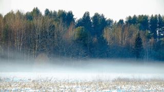 La moyenne des températures de l'hiver 2024-2025 atteint 6,7 degrés, soit +0,8 degrés au-dessus de la normale. La moyenne des températures de l'hiver 2024-2025 atteint 6,7 degrés, soit +0,8 degrés au-dessus de la normale.