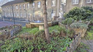 L’hôpital Saint-Anne à Paris abrite 7 ha de jardins. L’AG de la FFNJS a permis de les visiter dans un tandem jardinier-soignant. Les espaces verts du site sont entièrement entretenus par les résidents. L’hôpital Saint-Anne à Paris abrite 7 ha de jardins. L’AG de la FFNJS a permis de les visiter dans un tandem jardinier-soignant. Les espaces verts du site sont entièrement entretenus par les résidents.