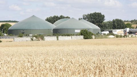 Yves Le Roux, professeur à l’Ensaia-université de Lorraine, alerte sur les concurrences pour la biomasse qu’impliquent les hypothèses de développement du biogaz.