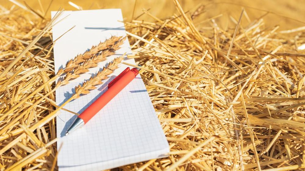 La loi de finances de la sécurité sociale 2025 modifie certains dispositifs pour les employeurs agricoles.