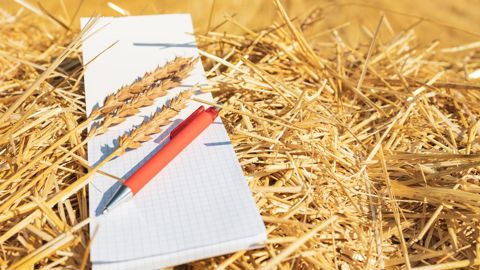La loi de finances de la sécurité sociale 2025 modifie certains dispositifs pour les employeurs agricoles.