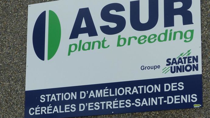 Asur Plant Breeding va commercialiser, dès le 1er juillet, le catalogue variétal de Saaten-Union dans six pays : l'Espagne, l'Italie, le Portugal, la Belgique, le Luxembourg et la France.