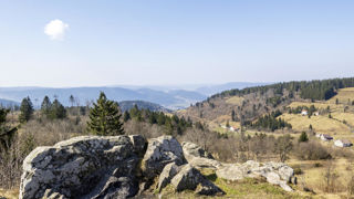Le sentier de la Piquante Pierre, à Basse-sur-le-Rupt dans les Vosges, retrace l'histoire de résistants tués ou fusillés par les nazis. Le sentier de la Piquante Pierre, à Basse-sur-le-Rupt dans les Vosges, retrace l'histoire de résistants tués ou fusillés par les nazis.
