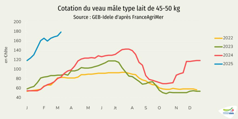 Cours des veaux laitiers