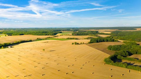 Le changement climatique risque d'amplifier les disparités observées sur les évolutions de rendements dans les différentes régions du monde.