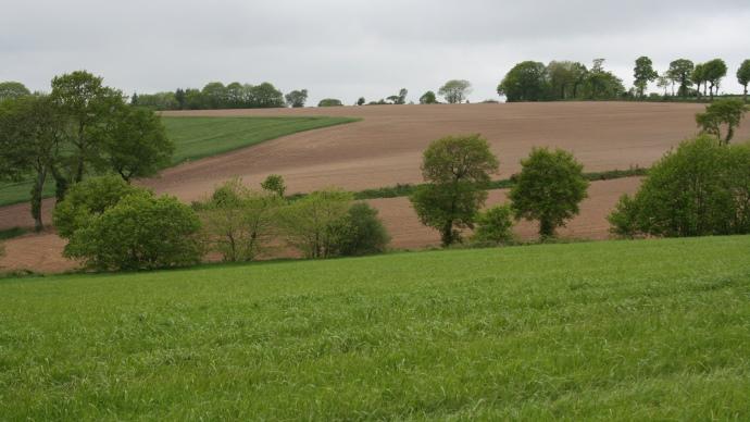 Paysage en pente
