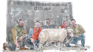 Armand, bélier surnommé « le mouton à 5 potes ». Armand, bélier surnommé « le mouton à 5 potes ».