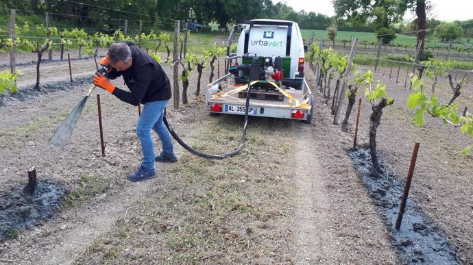 L’hydromulching, comme le propose le groupe Nau, peut permettre d’installer des couverts sous les rangs de vigne.