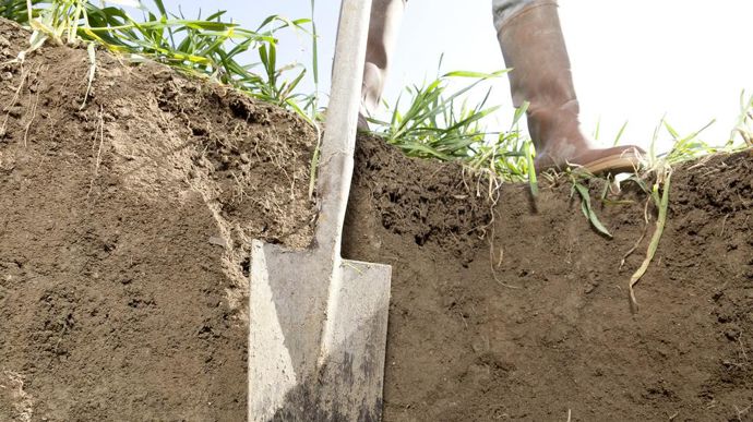 [] Crédits carbone : 8,3 millions d’hectares dans vingt pays d’Europe