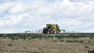 Actuellement, une trentaine de molécules issues de l’approche « Cropkey » de Bayer sont en cours d’évaluation.