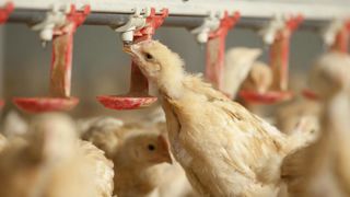 La trajectoire haussière attendue pourrait être modifiée en fonction des politiques de réduction des antibiotiques mises en place, selon l'étude. La trajectoire haussière attendue pourrait être modifiée en fonction des politiques de réduction des antibiotiques mises en place, selon l'étude.