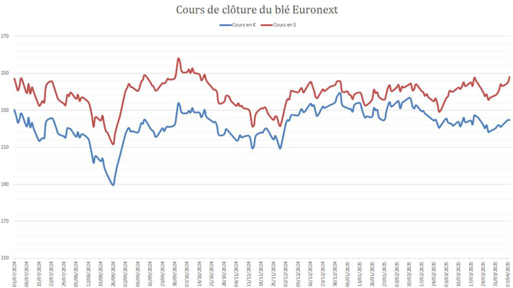 La valeur du blé Euronext en dollar enregistre une rapide progression.