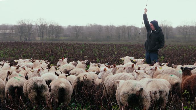Une stratégie d’adaptation au changement climatique