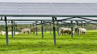 Le projet de loi sur le partage de la valeur prévoit désormais une limite de 10 MWc par exploitation, soit une vingtaine d'hectares.