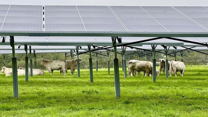 Agrivoltaïsme : zones d’ombre sur le partage de la valeur