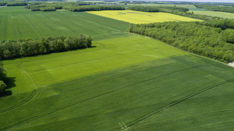 Une nouvelle option est ouverte pour remplir les obligations de la BCAE 7 — rotation des cultures.