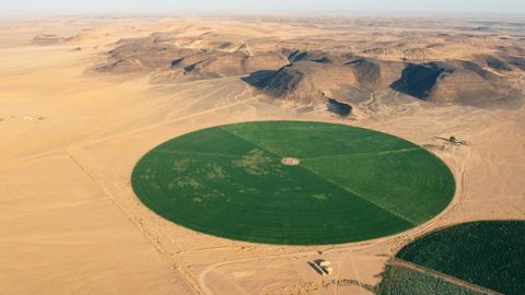 Les autorités algériennes entendent exploiter 500 000 hectares d'orge et de blé dur dans le sud désertique d’ici à 2028, en misant notamment sur l'irrigation par pivot.