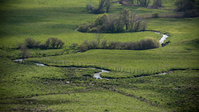 Icosystème consulte coopératives et négoces agricoles pour identifier leurs besoins en formation à l'agriculture régénératrice.