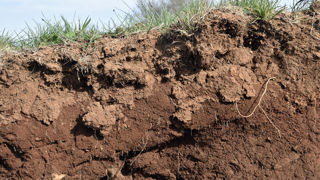 Certaines solutions ou évolutions de pratiques quant à l'usage des terres agricoles permettent de s'adapter au changement climatique. Certaines solutions ou évolutions de pratiques quant à l'usage des terres agricoles permettent de s'adapter au changement climatique.