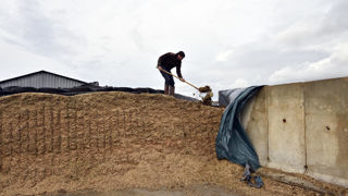 En Normandie, Littoral Normand a été sollicité par des éleveurs inquiets de voir du gaz orange s'échapper de leur silo. En Normandie, Littoral Normand a été sollicité par des éleveurs inquiets de voir du gaz orange s'échapper de leur silo.